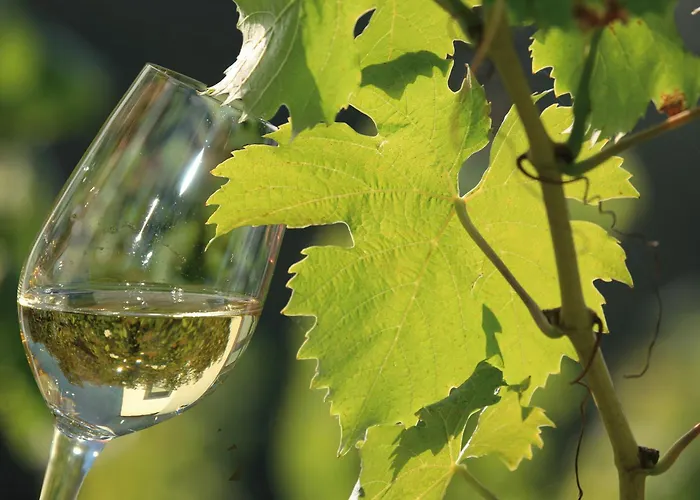 Weingut Rosenbaum