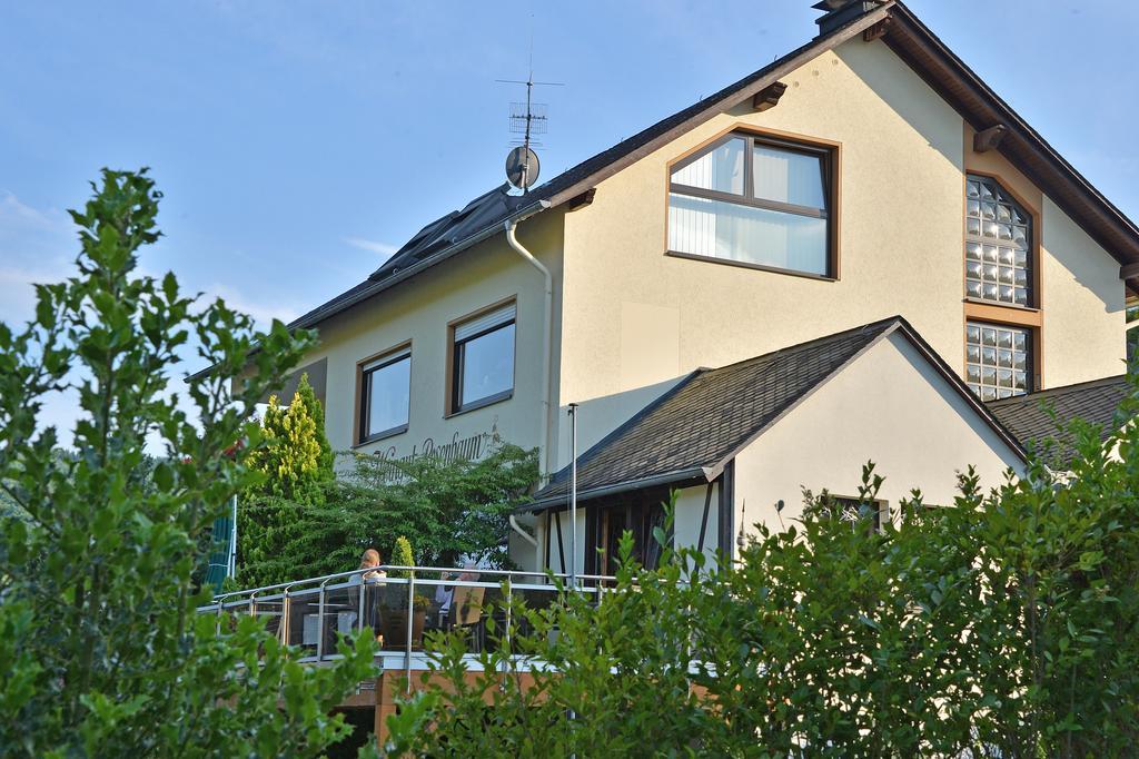 Privatunterkunft Weingut Rosenbaum Briedel