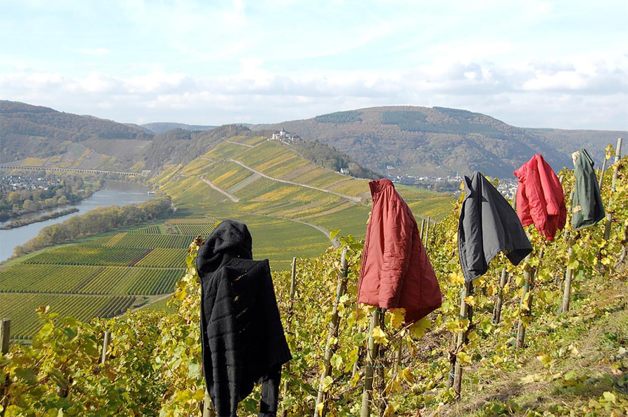 Privatunterkunft Weingut Rosenbaum