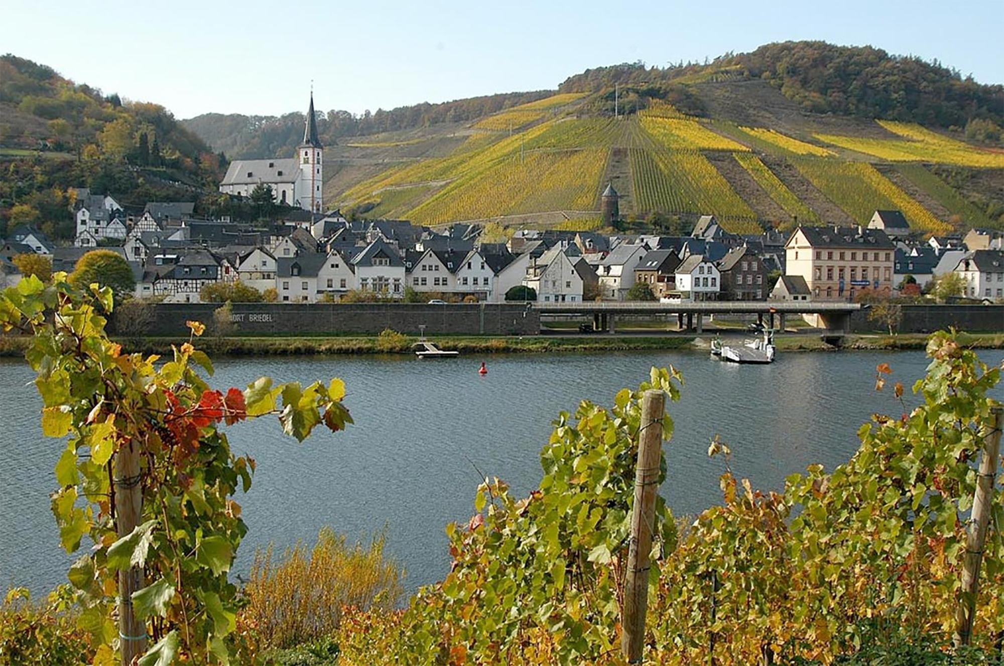 Weingut Rosenbaum Briedel