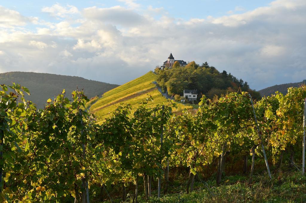 Weingut Rosenbaum *